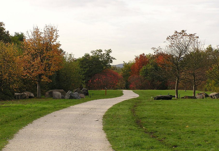 Arboretum Main-Taunus, Germany